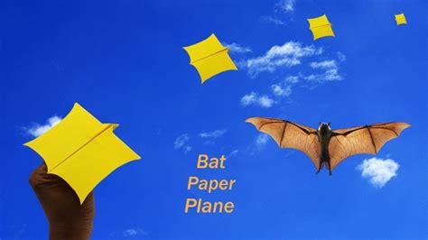 Tutorial Bat Paper Plane 的图像结果