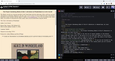 Web Developer Tutorial 的图像结果