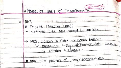 Molecular Basis of Inheritance: Key Concepts and Discoveries (28) - Studocu
