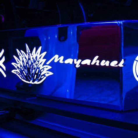 MAYAHUEL TRANSPORTADORA TURÌSTICA (2026) All You Need to Know BEFORE ...