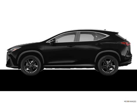 2025 Lexus NX Specs | Lexus of Montgomery