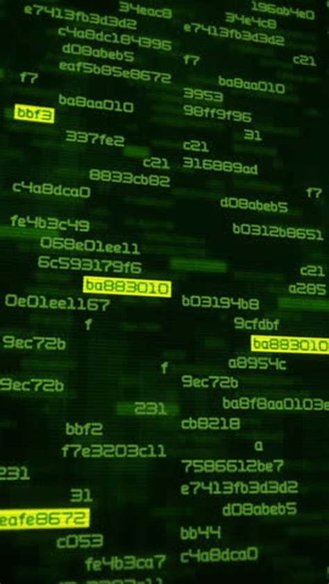 Database Computer Screen 的图像结果