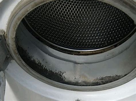 Image result for How Do You Remove Mold and Mildew From Front Loading Washing Machine