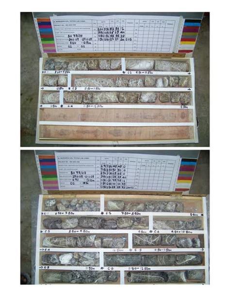 Image result for Soil Evidence Collection