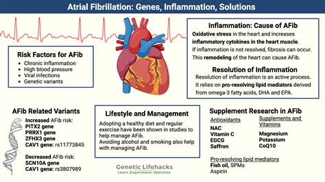 Atrial fibrillation: Intersection of Genetic Susceptibility with Inflammation and Remodeling