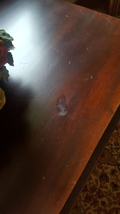 Image result for How to Repair Shellac