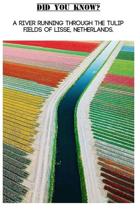 Interesting Things 的图像结果