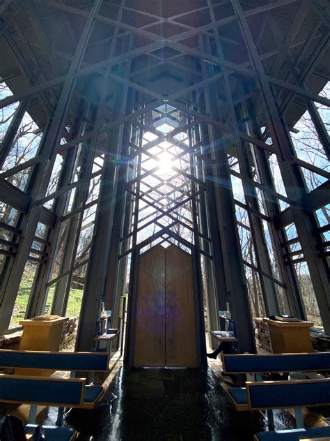 The Return of the Majestic Elk in Arkansas - Somewhere In Arkansas