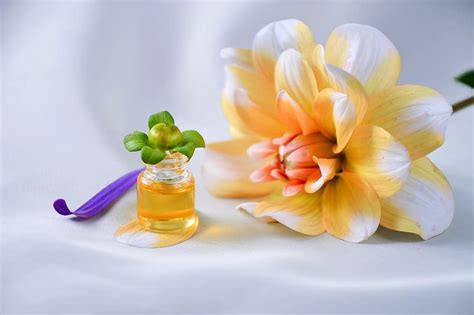 Image result for Essential Mods for Minecraft