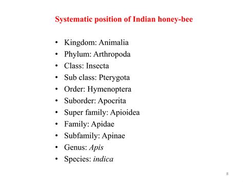 Taxonomy, principles and procedures | PPTX - phylum of honey bee