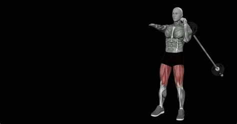 Exercise Animation 的图像结果