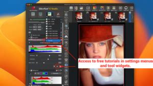 Image result for SilverFast 9 Tutorial