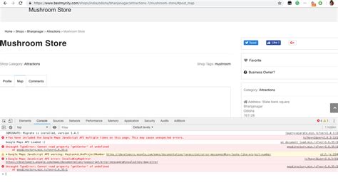 Image result for Google Maps JavaScript API Error