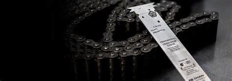 Image result for Chain Wear Scale