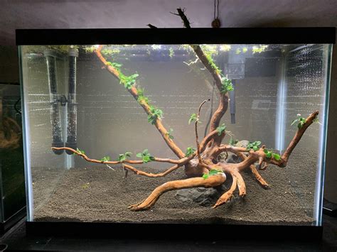 20 Gallon Tall Aquarium Aqueon Black Tall LED Aquarium Kit, 20 Gallon