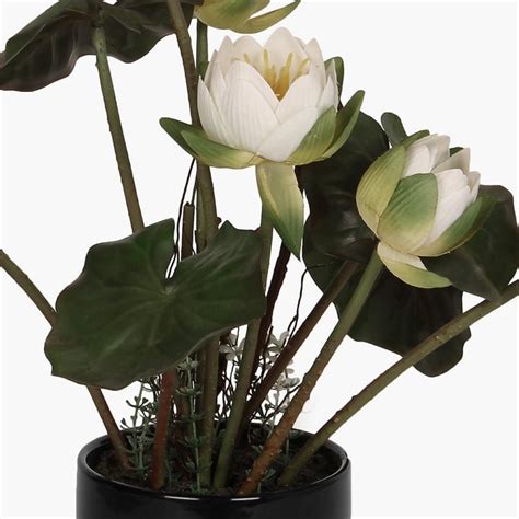 Buy Sachi Potted Lotus in Ceramic Pot from Home Centre at just INR 999.0