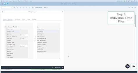 SAP GUI Automation 的图像结果