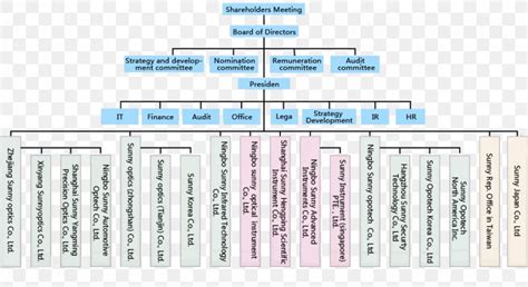 Structure of a Corporation 的图像结果