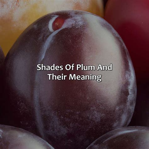 What Color Is Plum - colorscombo.com