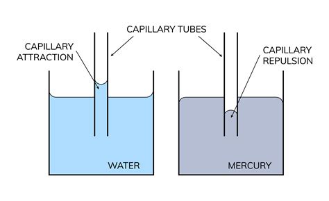 15 Examples Of Surface Tension – NKGL