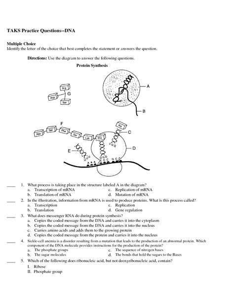 Image result for Protein Synthesis Review Worksheet