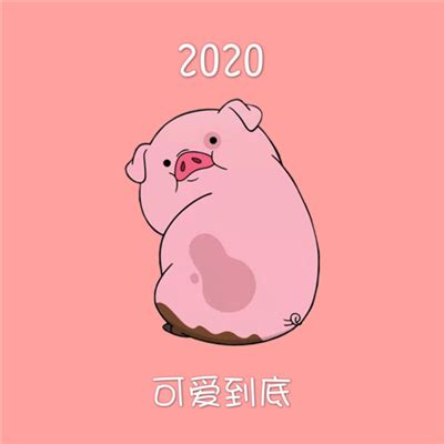 2020新版微信头像女生男生个性推荐 - 优游网