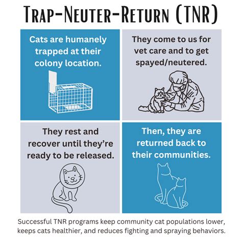 TNR Program | Smithfield Animal Hospital