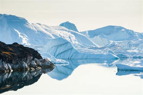 Image result for Davos Meeting 2025