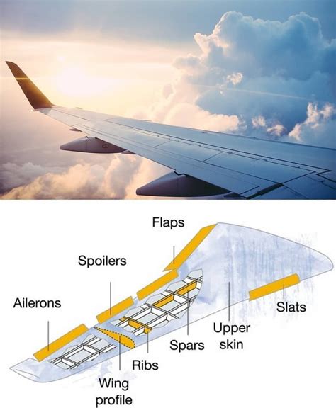 Airplane Wing with Labeled Parts