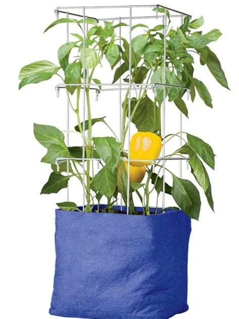 Image result for Types of Plant Containers