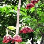 Image result for Assignment Operator Code JavaScript
