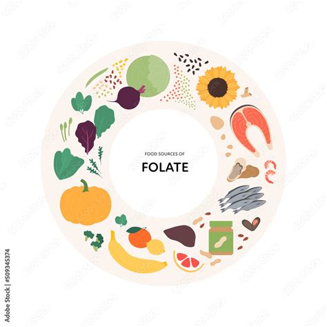 Image result for Folate Food Sources Chart