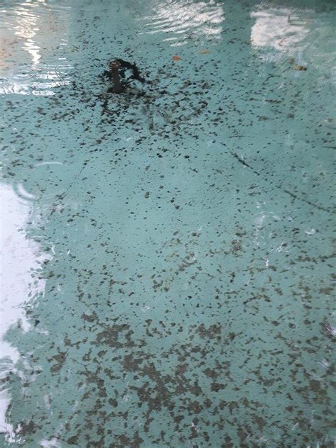 GLOBUS FOUNTAIN WITH TWO MARKET WOMEN (2025) All You Need to Know ...