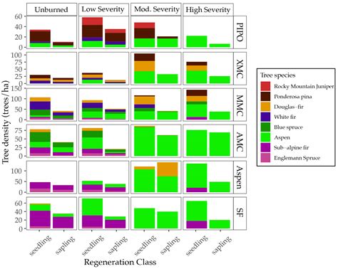 Leafing Out: Leaf Area Index as an Indicator for Mountain Forest ...
