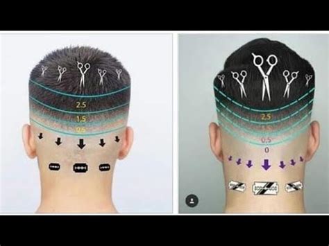 Image result for Fade Haircut Guide