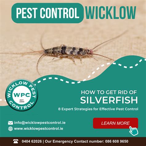 Strategies for Effective Pest Control - Get Rid of Silverfish