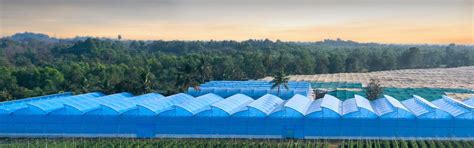 All Products - Agriplast Tech India | Greenhouse Films, Shade Nets & More
