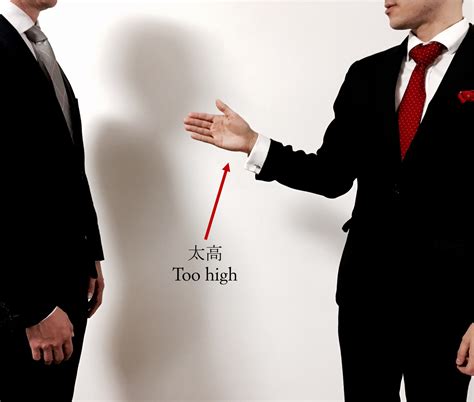 握手 的图像结果