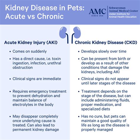 Chronic Kidney Disease Definition English - Catalog Library