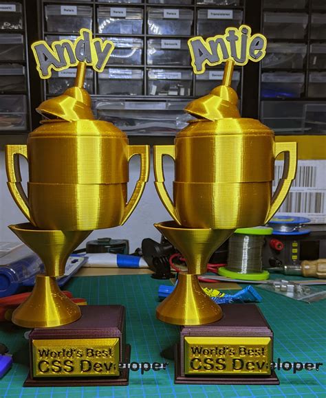 Image result for Best CSS Developer Trophy