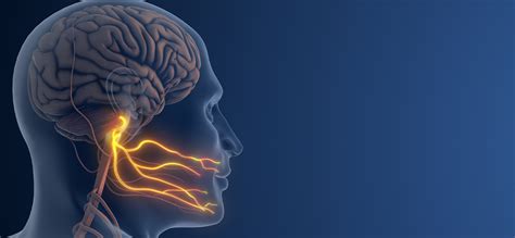 Trigeminal Neuralgia | Prof. Dr. Pınar Yalınay Dikmen