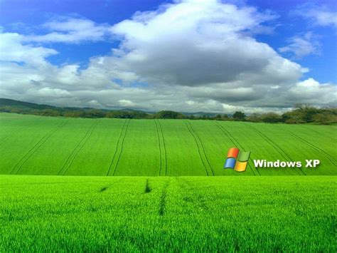 Image result for Windows XP Desktop