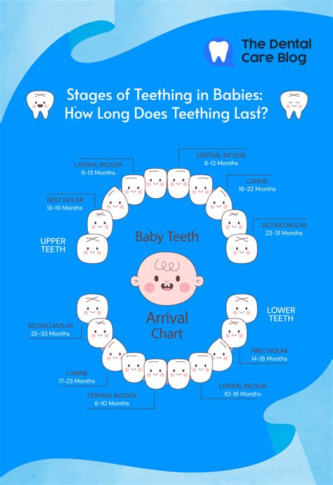Stages of Teething in Babies: How Long Does Teething Last?