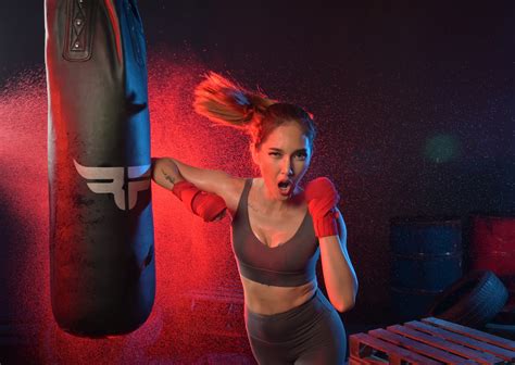 Boxer Portrait 的图像结果