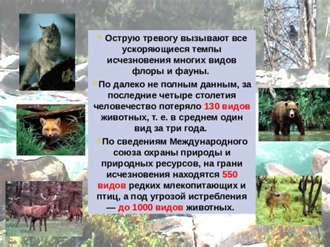 Законы России об охране животных