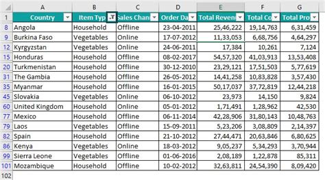 Image result for Using VBA to Create Filters