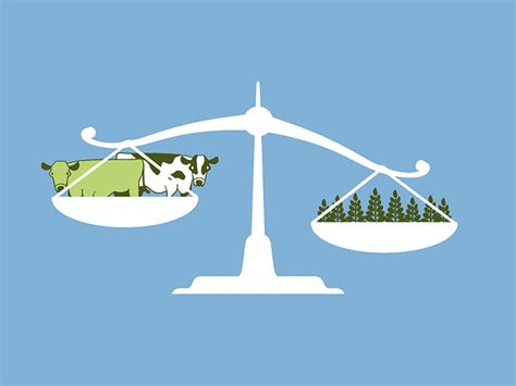 What is WIPS Rent Payment? - Credit Cadabra