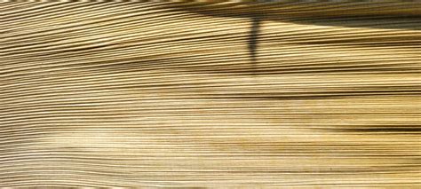 Image result for Printing Software Background Images