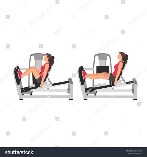 Woman Using Flat Leg Press Machine: stockvector (rechtenvrij ...
