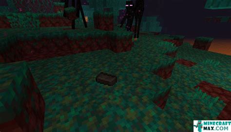 Image result for Find Netherite Ingot